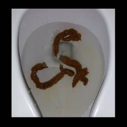 Dead As Amorphophallus : Fecal Party